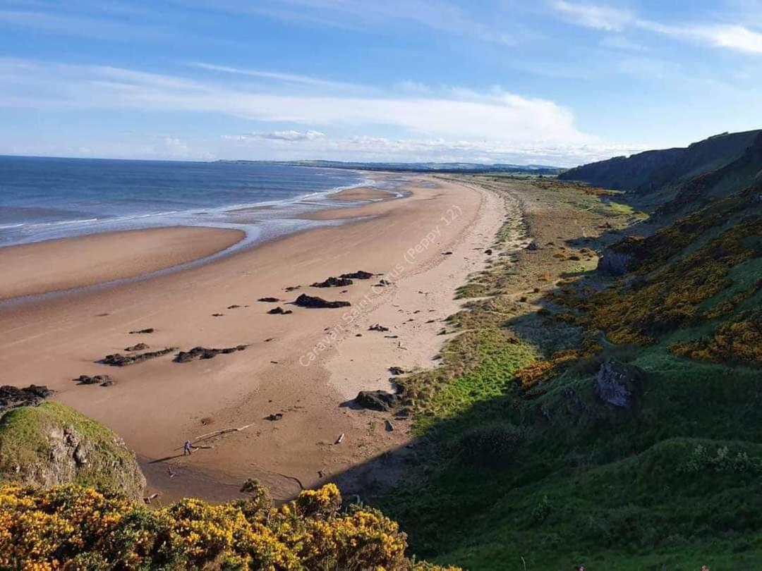 Wrights Retreat 4 Lunan View St Cyrus Caravan Park Saint Cyrus المظهر الخارجي الصورة
